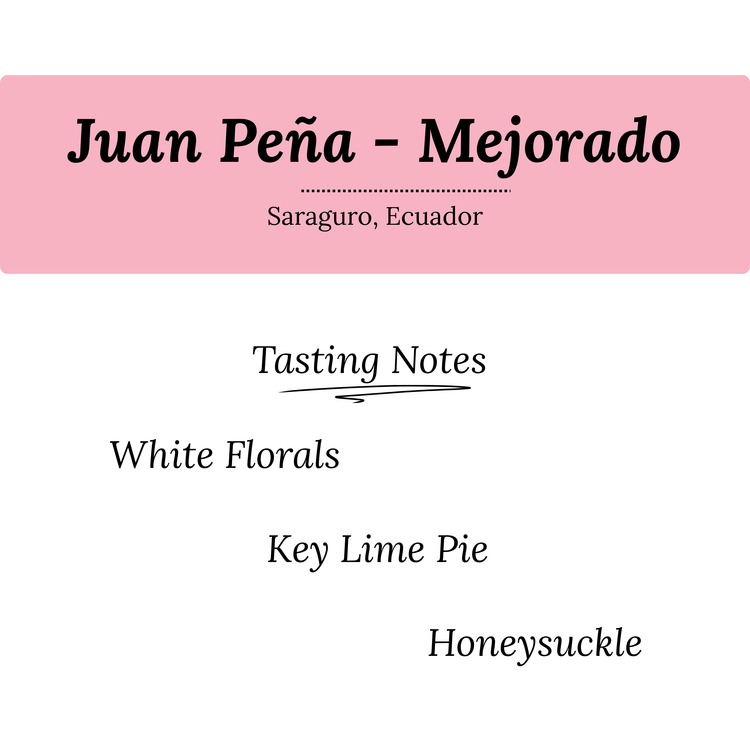 Juan Peña - Mejorado #1