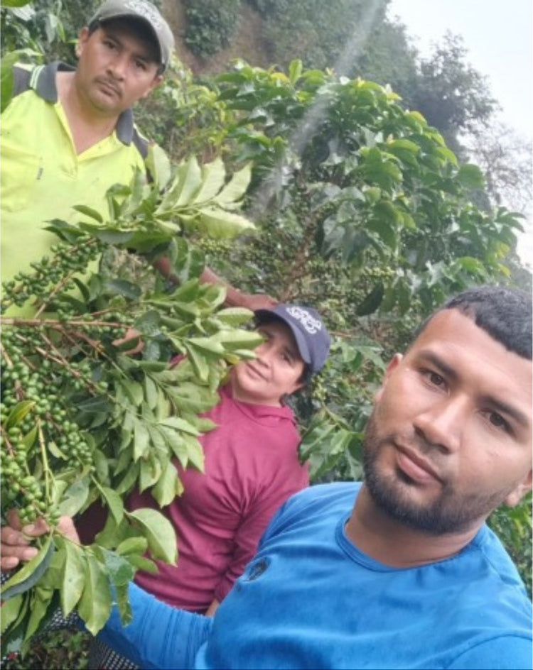 Edimar Ortega (Copa de Oro)