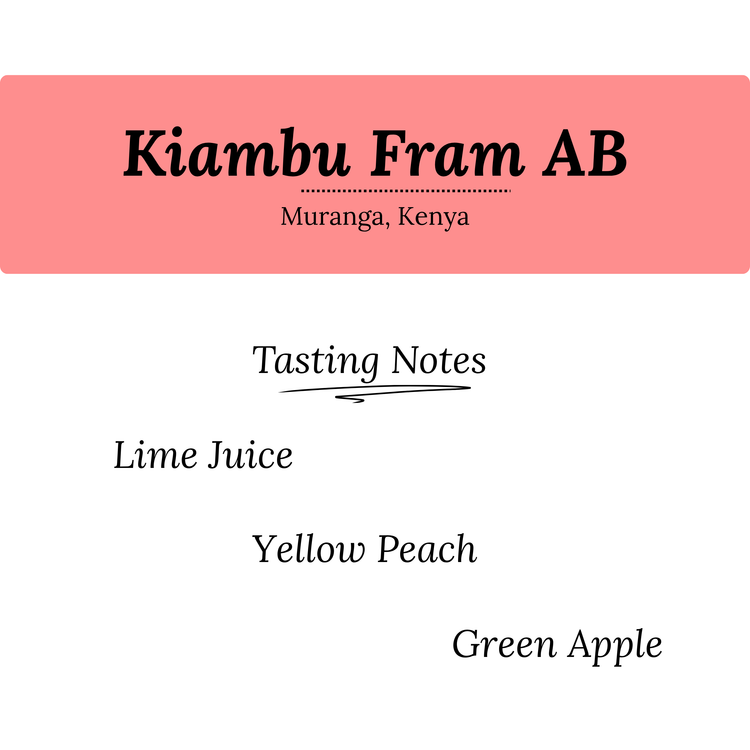 Kiambu Fram AB