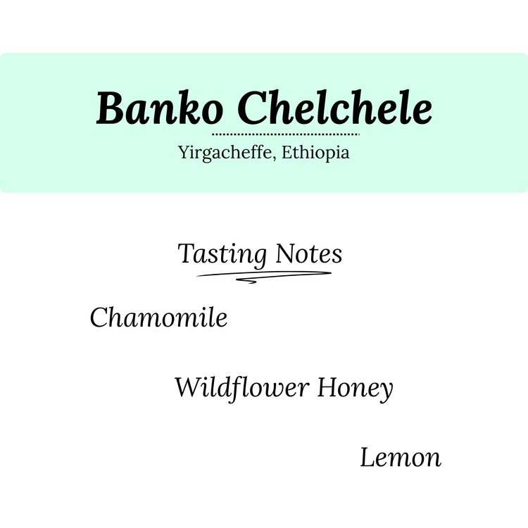 Banko Chelchele