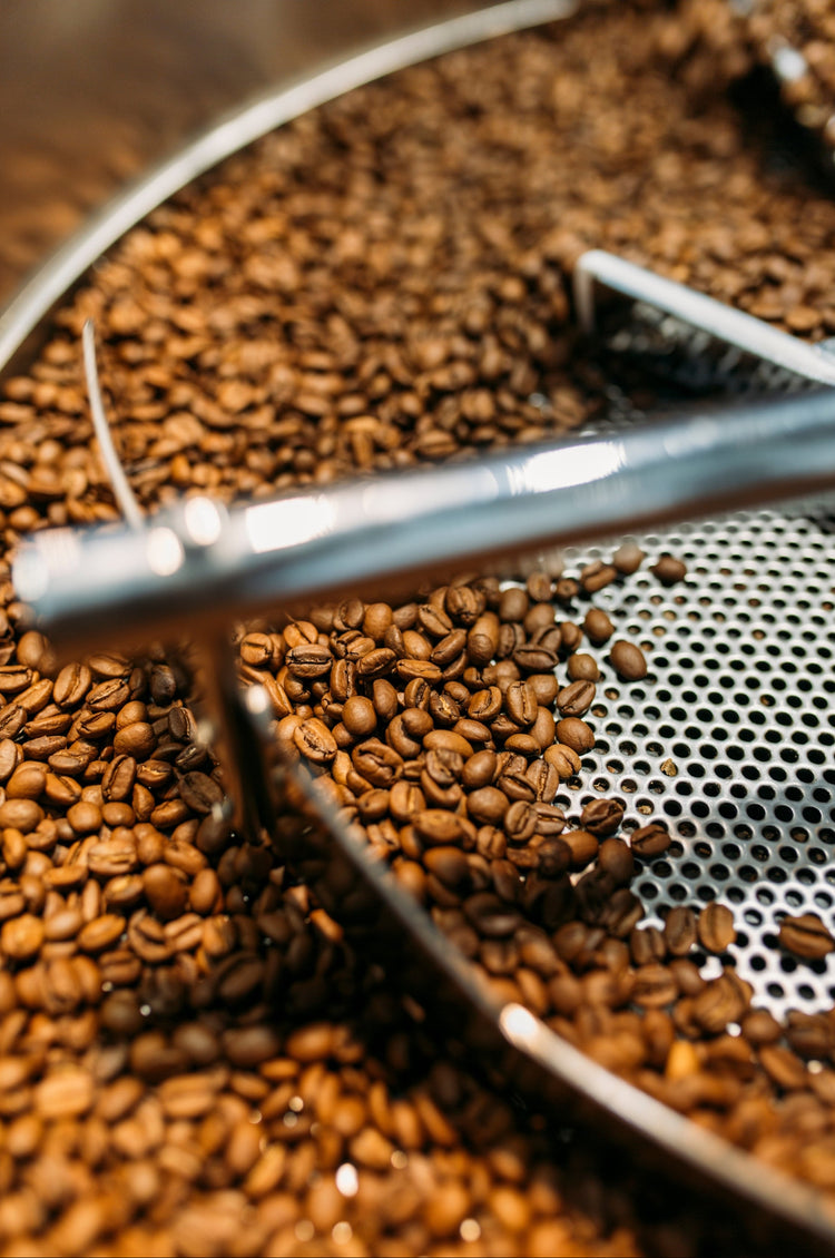 Seasoning Beans (5lbs)