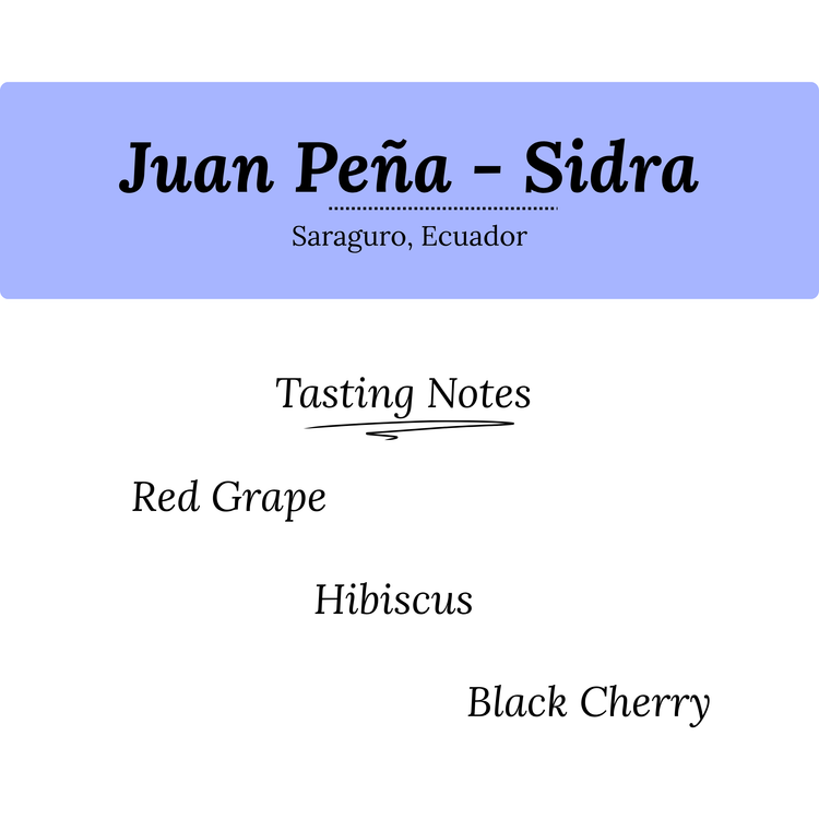 Juan Peña - Sidra #38