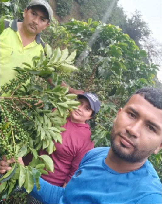 Edimar Ortega (Copa de Oro)