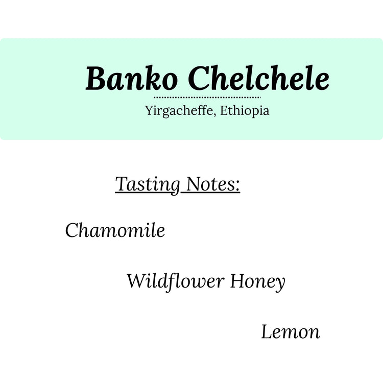Banko Chelchele