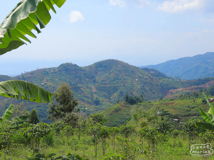 Masenga Hill